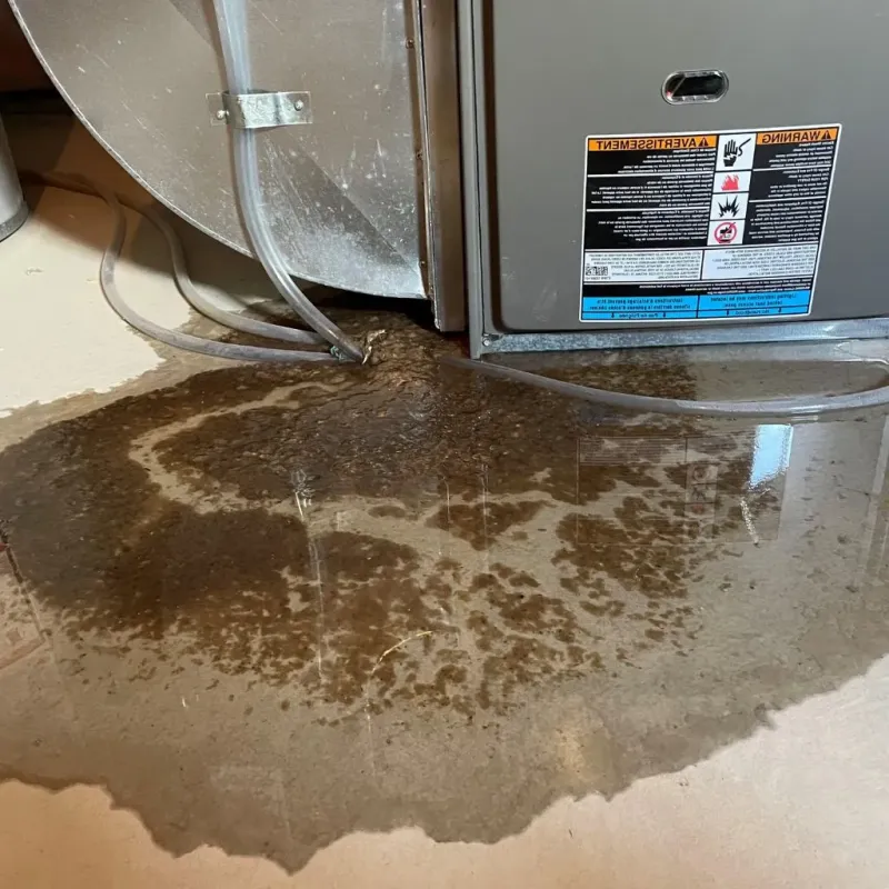 Pipe Burst and Leak Restoration in Chariton, IA