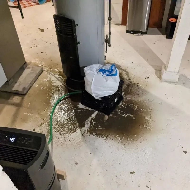 Sewage Backup Cleanup Service in Chariton, IA